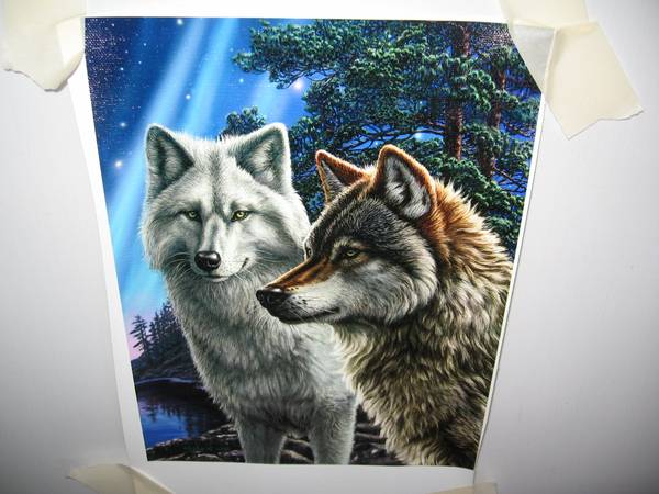 James Meger - Wolves Canvas 10.25 x 8 Inches 1