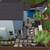 LANDSCAPE DESIGN 24 thumbnail