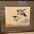 Framed Flying Duck Prints 2 thumbnail