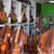 Open 9:00-5:30 with 370 Violin, Viola, Cello, Bass Insts. 20 thumbnail