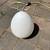 Vetri Murano post modern swirled glass egg lamp A143 3 thumbnail