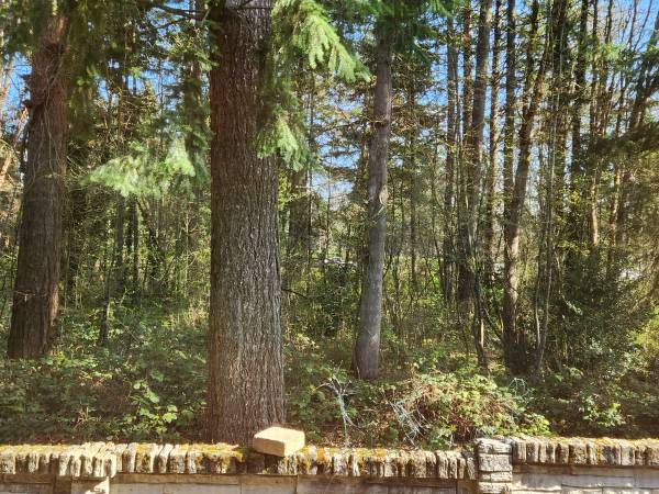 $950 / 3br - Habitación privada / Baño completo privado incluye servicios (Tualatin, Tigard, Lake Oswego)63914740415746121