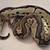 Ball Pythons 2 thumbnail