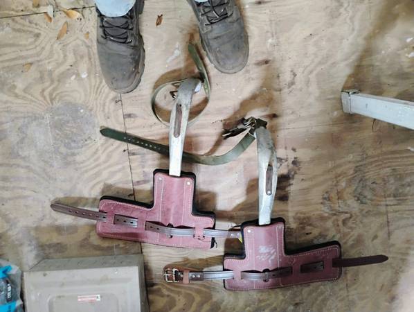 Tree spikes - $150 (Pensacola)63469925441665120