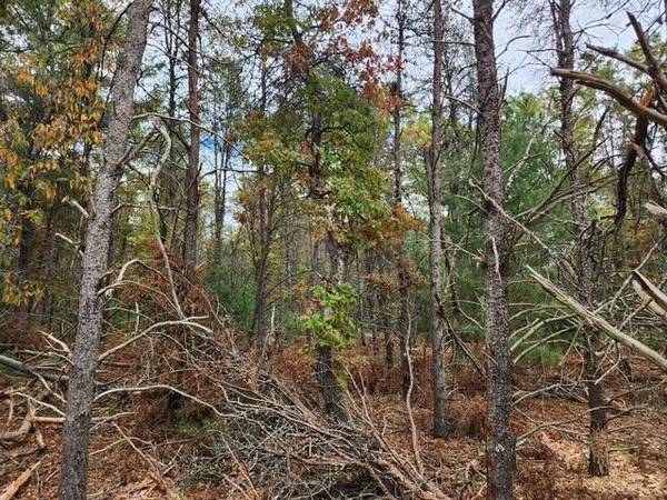 $52,900 4.80 Acres of vacant land Perfect for your Summer set up!! (Baldwin)64308162721794122