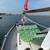 BayIslander 3 thumbnail