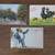 Vintage Postcard Collection (64) 1 thumbnail