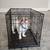 Dog cage 2 thumbnail