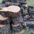 Pecan wood 2 thumbnail