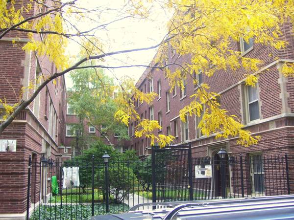 $1,535 / 1br - Lakeview’s Best Value! Bar None! HEAT INCLUDED! (Lakeview)63898603565698120