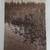 Edward Curtis original photogravures 12 thumbnail