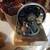 1878 Singer Hand Crank Sewing Machine 6 thumbnail