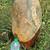 UND Fighting Sioux Logo CARVED IN Granite Sculpture! Signed! HEAVY! 3 thumbnail