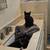 Foster or Adoption LBC 2 thumbnail