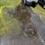 Excavation services 1 thumbnail