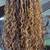 🎃Halloween season Braid specials🎃 5 thumbnail