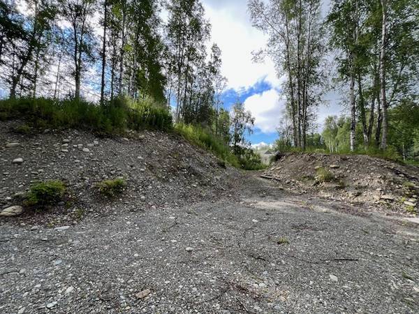 $192,000 READY TO BUILD! 1.2 Acre Lot w/ Foundations & 5bd Septic! (Palmer)64004786399362123