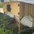 ***RABBITS & CHICKENS & QUAILS, OH-MY!*** 12 thumbnail