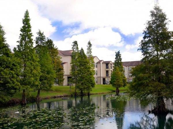 $1,335 / 2br - 1010ft2 - 2B/2B, in Brandon FL, Pool (1911 Brandon Crossing Cir, Brandon, FL)64002493587073121