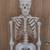 Full size doctor's office medical skeleton. 2 thumbnail