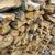 Post Oak Firewood 2 thumbnail