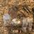 Large Lot of Trunk Hardware for Restoration - Many Styles, Pieces LOOK 11 thumbnail