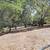Excellent Oppurtunity.......Lovely  Sebastopol Ranch Home 1.22 acres 22 thumbnail