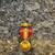 National Defense Military Medal and Ribbon 2 thumbnail