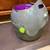 PetSafe Automatic Dog Ball Launcher All Breed Sizes 8 thumbnail