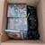 🎮 PS2 Fat Bundle – SW Battlefront II, Metal Slug, Simpsons, GTA 3 4 thumbnail