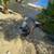 sierra landscaping 10 thumbnail