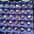 Huevo fertile raza ponedora / fertile eggs incubate 4 thumbnail