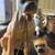 Bulldog mom w/puppy dogs chained figurines - 3 thumbnail
