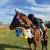 7 yo TB Gelding 16.2 OTTB best on ground and in saddle $5000 1 thumbnail