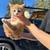 Barn kittens 4 thumbnail