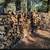 Firewood, oak, pecan, mesquite 1 thumbnail