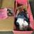 2 Paradise Galleries Porcelain Dolls 10 thumbnail