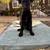 Belgian Malinois puppies 3 thumbnail