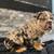 Pet sitter, pet boarding, dog sitter  $20.00 coupon  on 1st rover booking 23 thumbnail