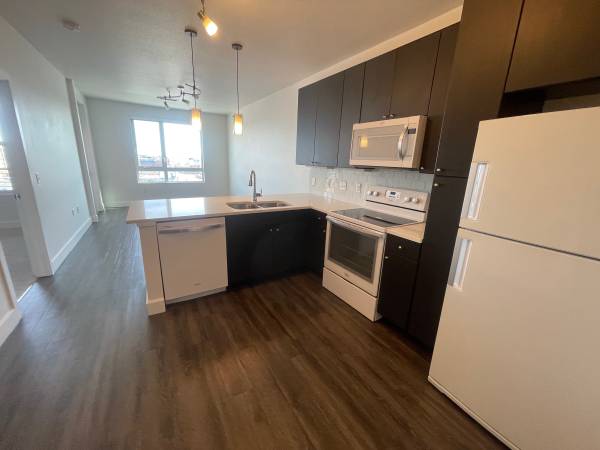 $1,571 / 1br - 729ft2 - **6 Weeks Free!!** Gorgeous Modern Renovated Downtown Denver 1 Bed! (Lodo * Riverfront * Downtown Denver)63679423879809121