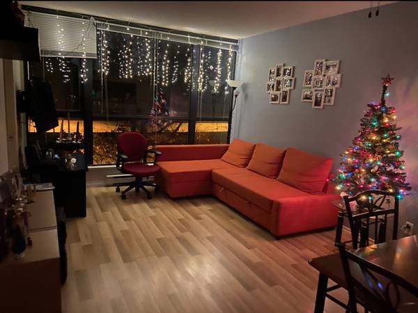 1bedroom plus den for rent near Joyce Station 1