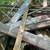 Free wood pile 3 thumbnail
