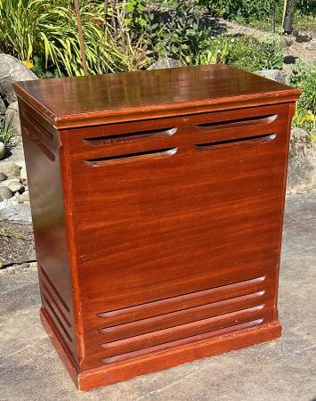 Leslie 2-speed cabinet with amp 1