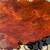Vintage Burled Redwood Live Edge Coffee & End Tables 16 thumbnail