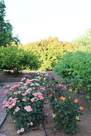 $699,000 / 4br - 1824ft2 - Heart of Apple Hill - forever views!          Pending Sale (Camino)63952110738819122