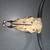 Decorative Longhorn Skull – Rustic Wall Décor

Add a bold Western touch to yo 3 thumbnail