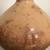 Vintage ~ 80s Signed STEPHEN POLCHERT Studio ART POTTERY 8” VASE ~ AF! 3 thumbnail