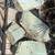 Yard Art -  fossils, petrified wood, saguaro cactus skeleton, ironwood 2 thumbnail