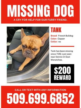 Reward!! (East Wenatchee)63386726315649120