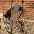 Vintage Victorian 34” Wicker & Wrought Iron Sleigh 5 thumbnail